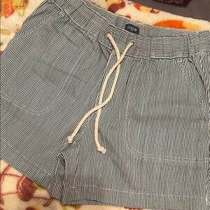 J. Crew Navy and White Striped Shorts
